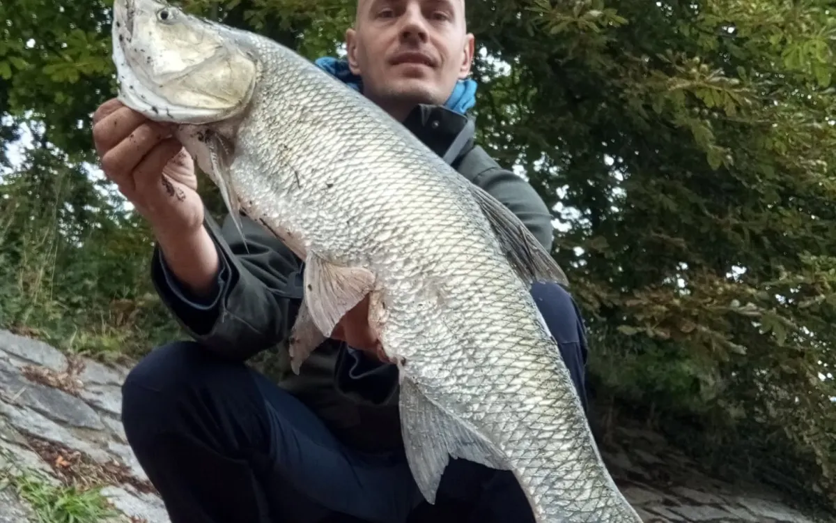 Rybár drží uloveného boleňa