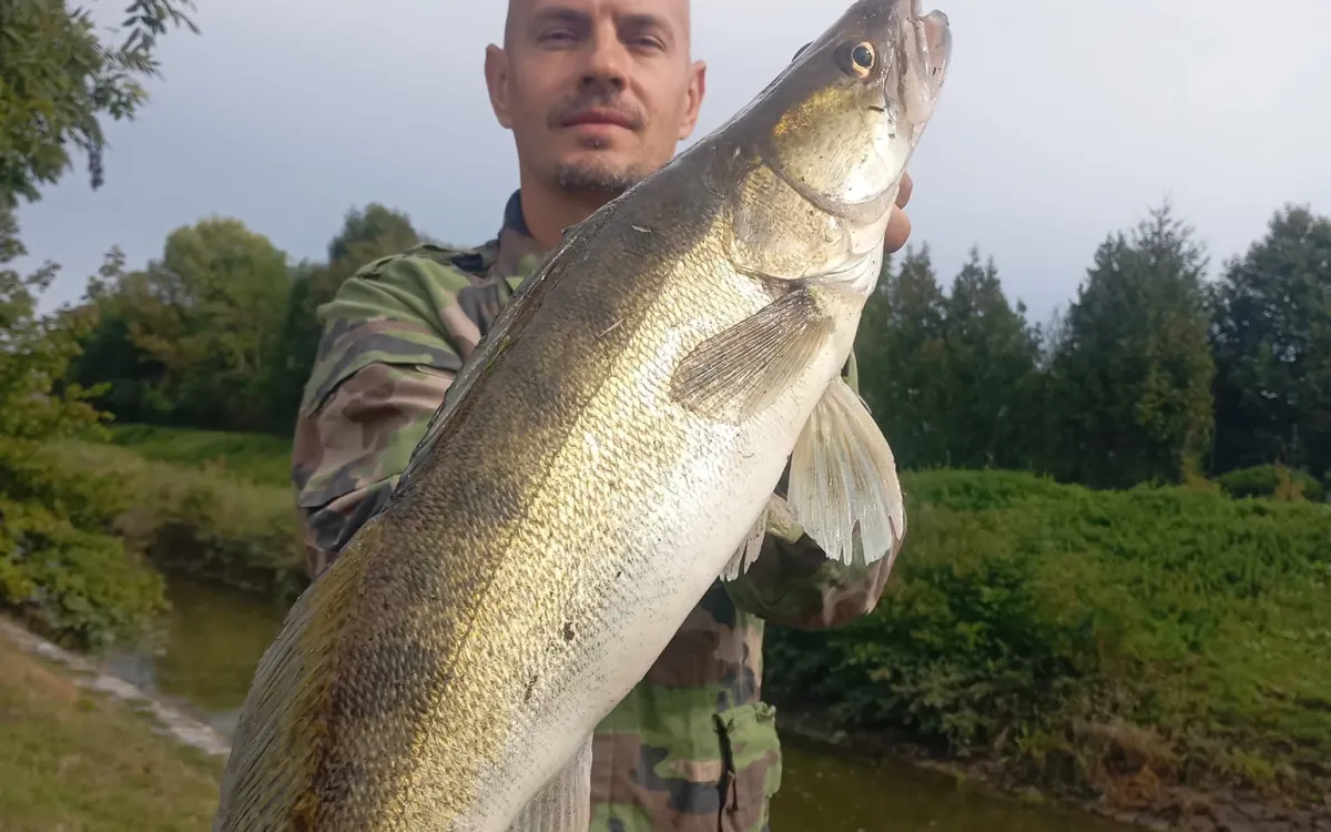 Rybár drží uloveného zubáča